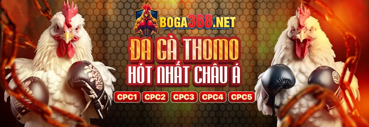 Hình ảnh chính Blog Hello88